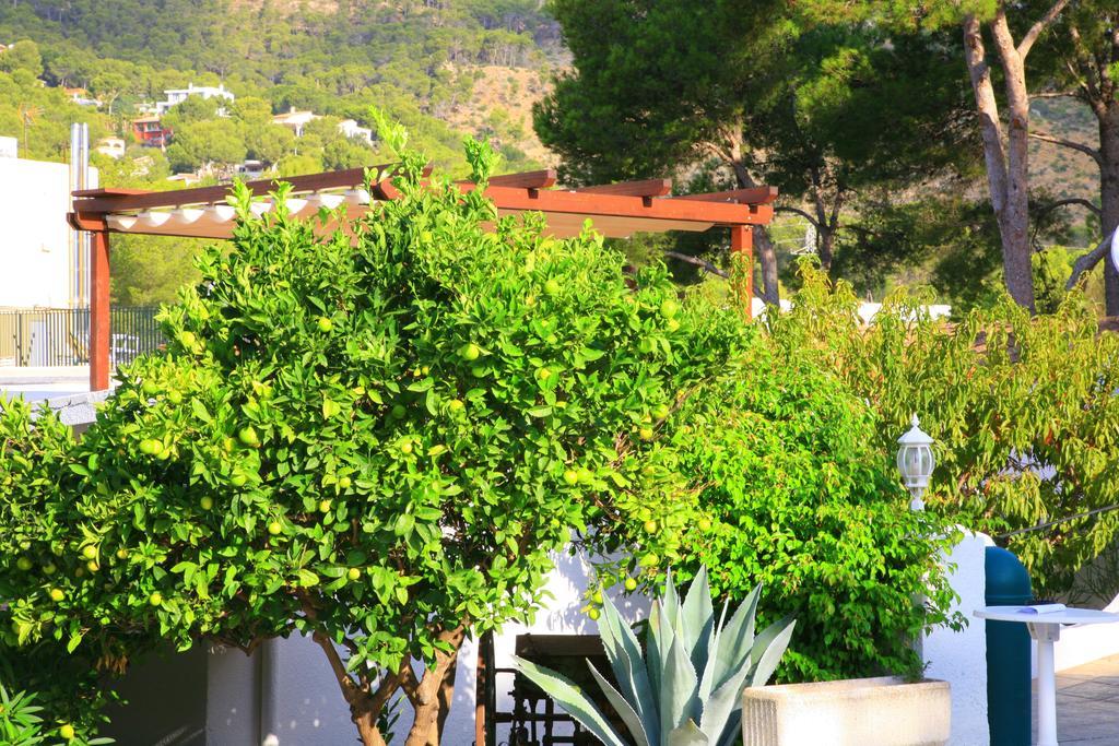 Villa Columbus Family Boutique Hotel Пегера Экстерьер фото