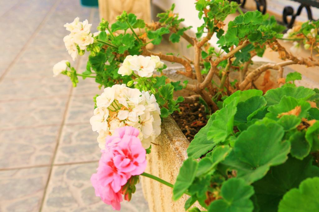 Villa Columbus Family Boutique Hotel Пегера Экстерьер фото